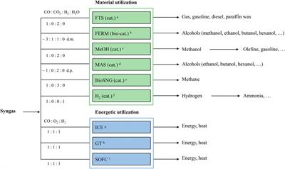 Requirements on synthesis gas from gasification for material and energy utilization: a mini review